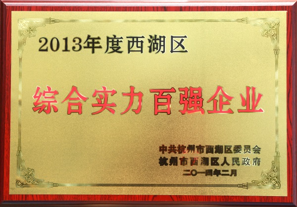 2013年度西湖區綜合實力百強企業