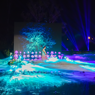 杭州人與文化藝術有限公司