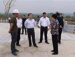 銅川市水務局領導考察澽水河生態治理項目