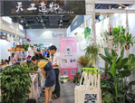 走進植物，享受美好——花點園藝亮相第十二屆杭州文博會