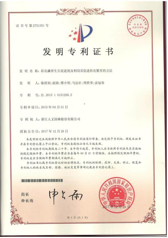 荷花藕帶生長促進(jìn)劑及利用其促進(jìn)荷花繁育的方法(發(fā)明）