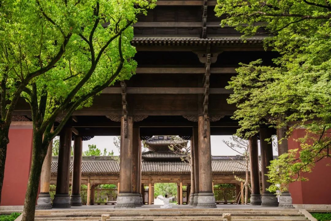 喜報|人文園林榮獲桐鄉市“鳳鳴杯”三項優質工程榮譽！