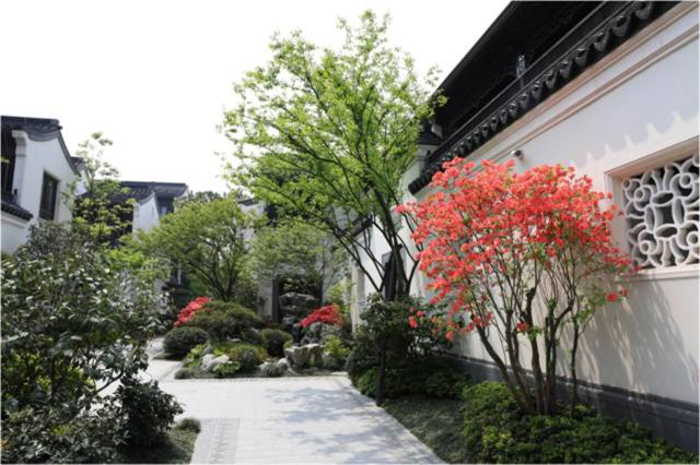 15359682457258607305.jpg QQ圖片20180903174952.jpg