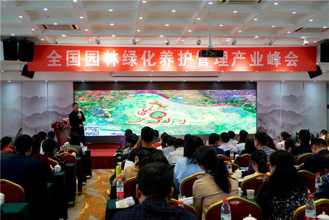 15426168364182257531.jpg 12.jpg