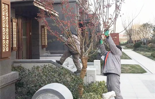 15482291068092554A29.jpg QQ圖片20190123153203.jpg