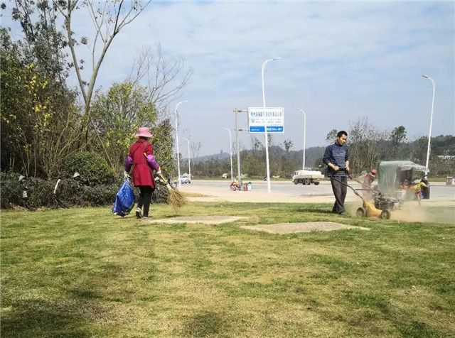 15514087974227447692.jpg 5.jpg