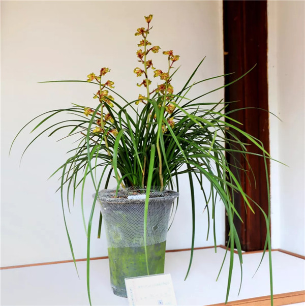 15573034899181699B48.jpg QQ圖片20190508161248.jpg