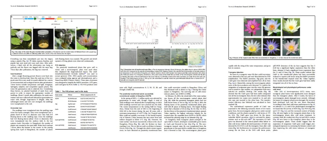 165242819741366426B3.jpg 3.jpg