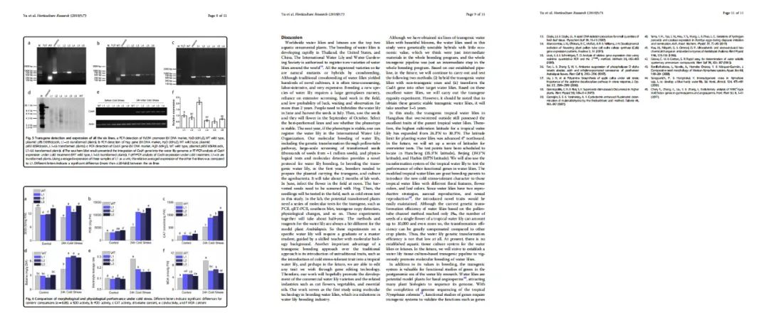 16524282063461474AD6.jpg 4.jpg