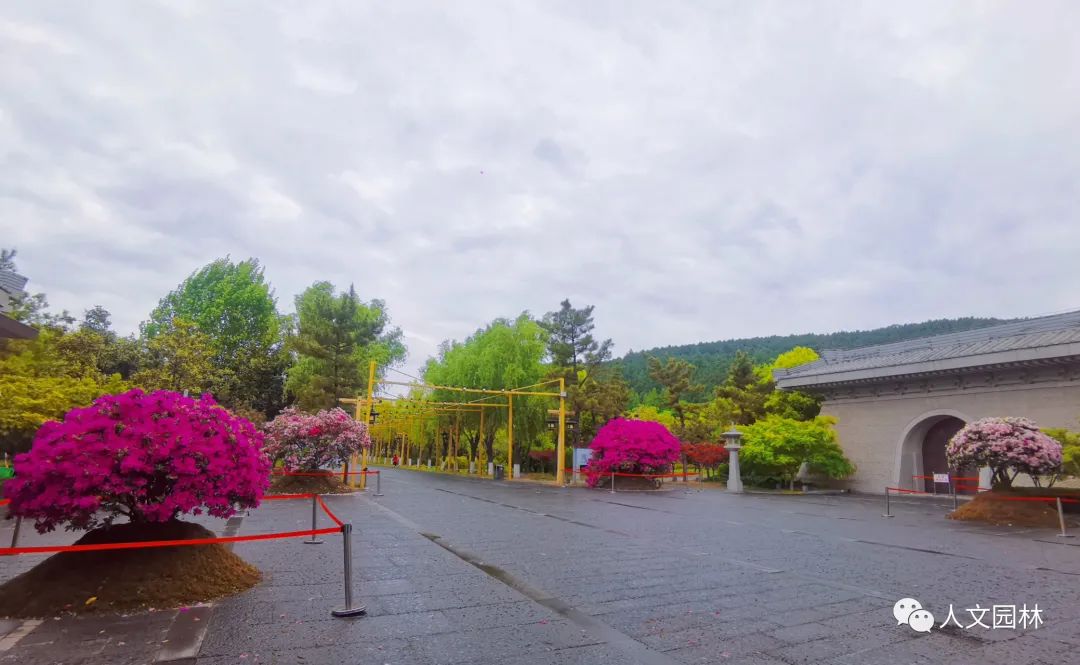 16823912446149242BC3.jpg 640 (12).jpg