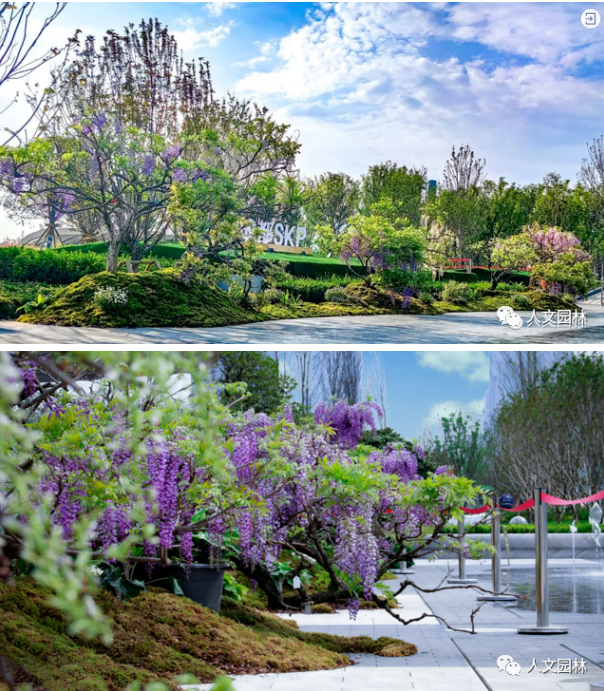 16837920631230967130.png image.png