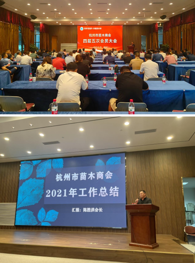 1688019472234265E079.png image.png