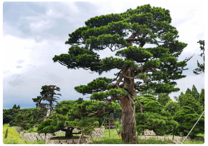 1688020662119624hpD8.png image.png